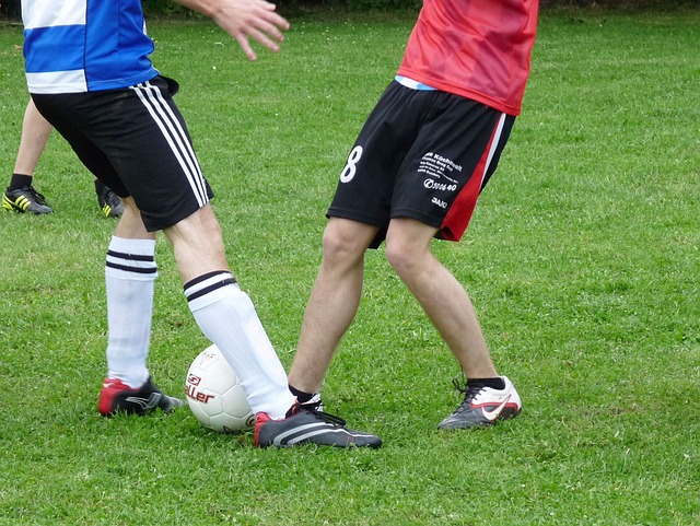 不勒斯外租 不勒斯外租