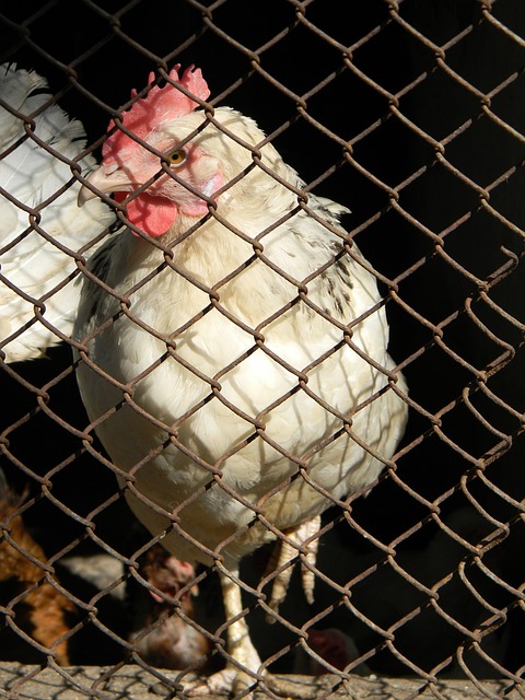 层面多方合 层面多方合