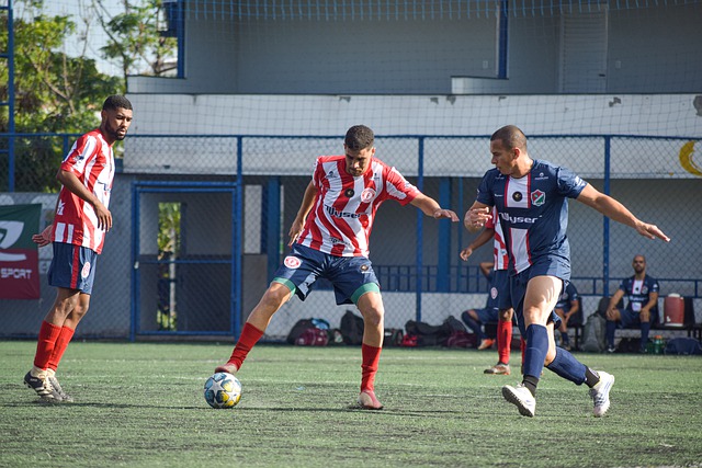 欧洲教练的 欧洲教练的