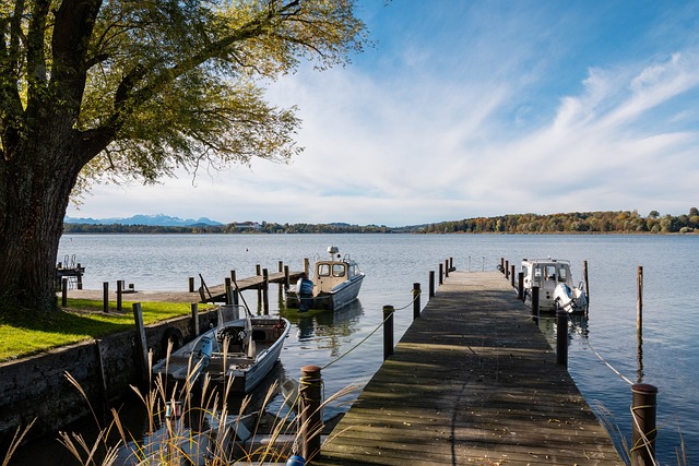 篮球比赛中 篮球比赛中