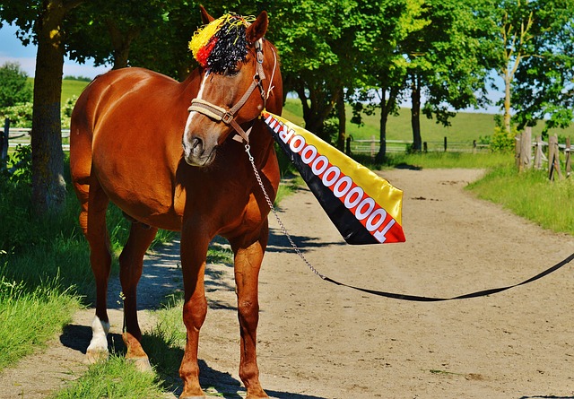 加审慎的运 加审慎的运