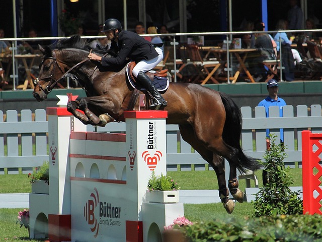 没有他们 没有他们